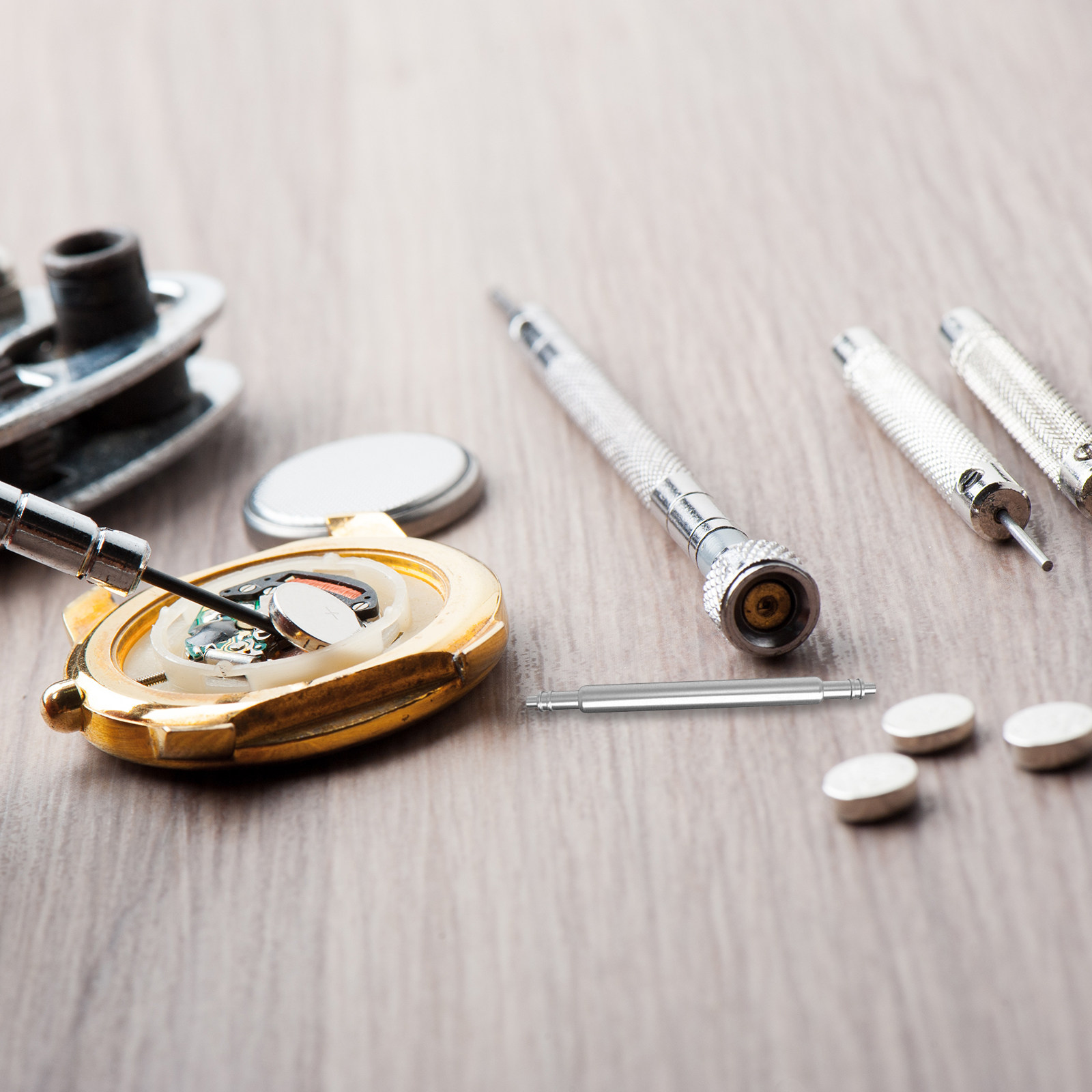Watch Strap Replacement - Set di 40 Barre a Molla